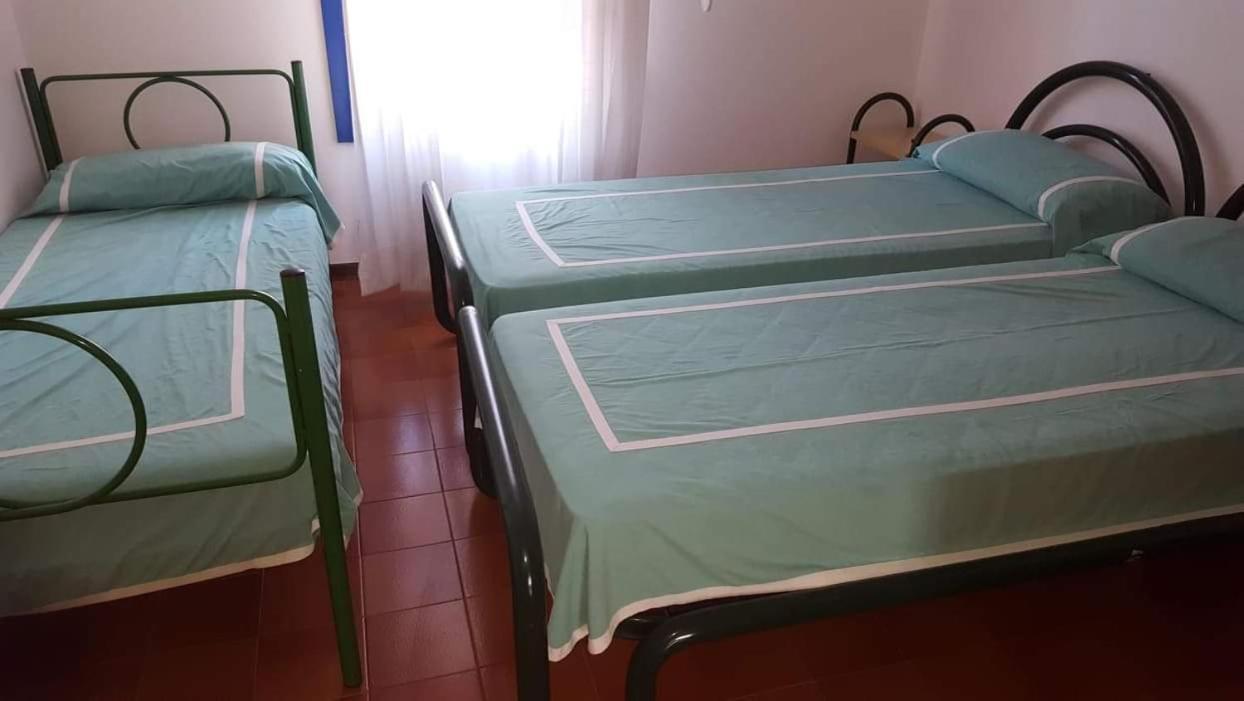 Penelope - Walterigato Solo Per Famiglie Lido di Jesolo